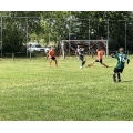SV Schreez - TSV Plankenfels 2:0 (1:0)